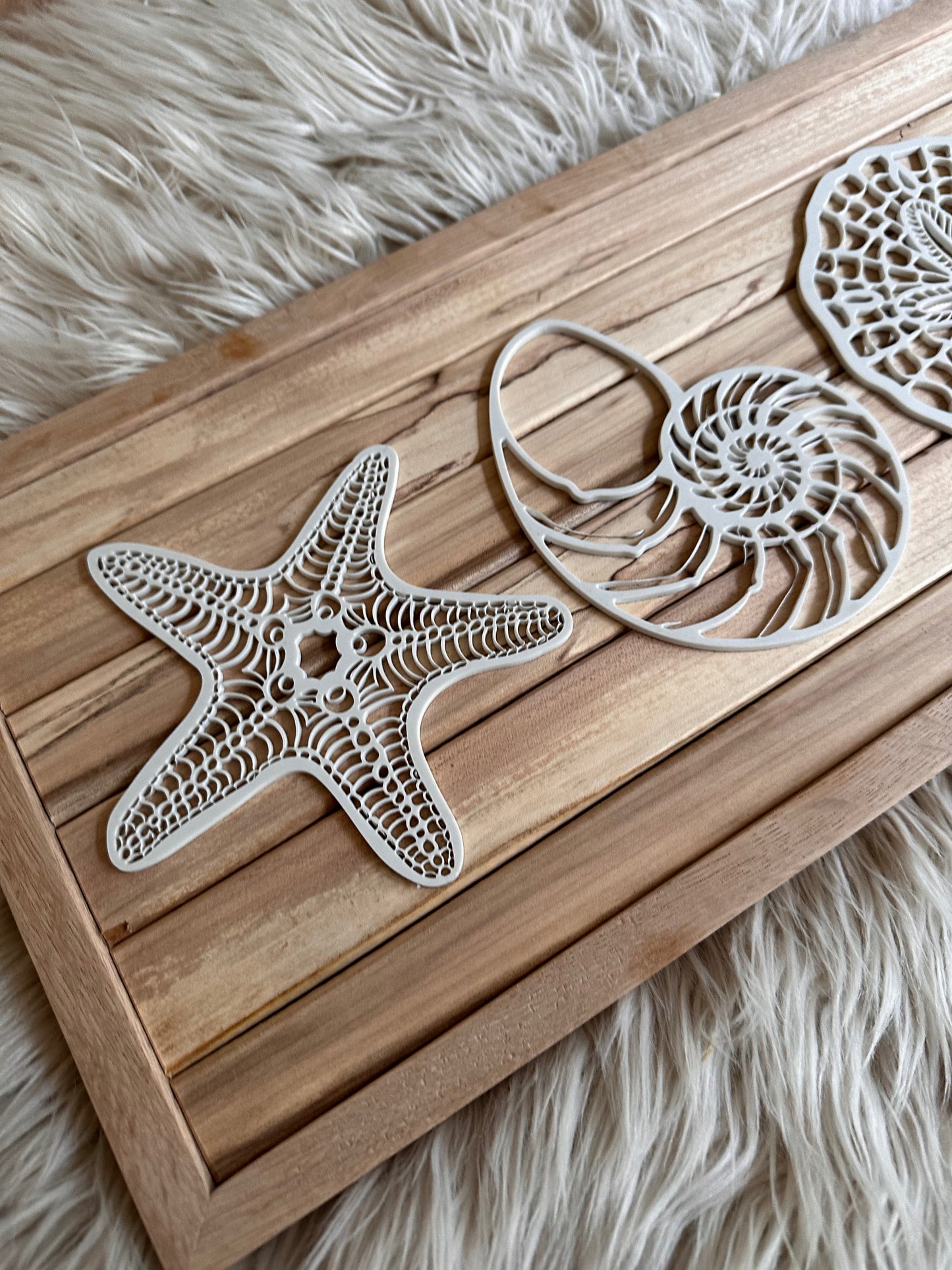 Coastline - Sea Shore