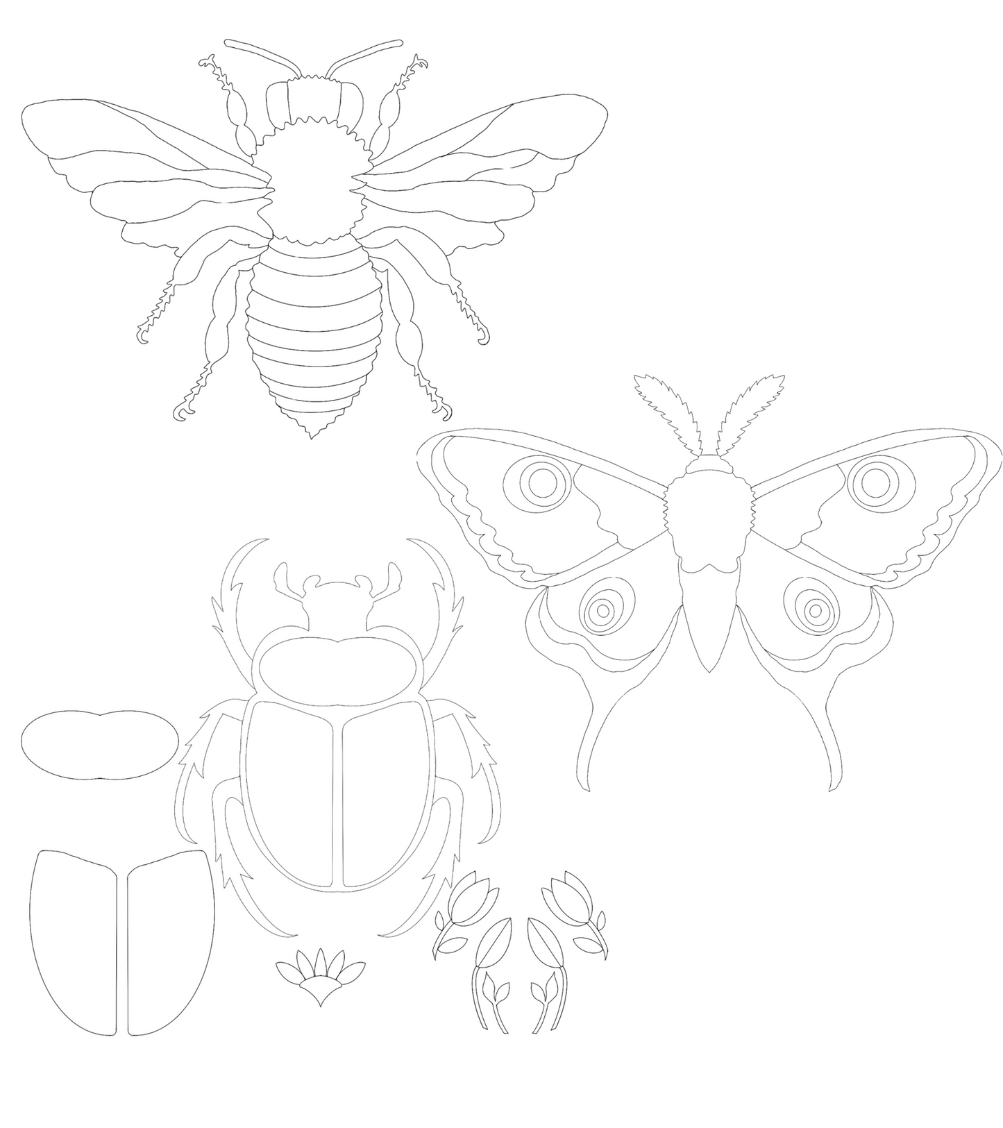 Insects SVG