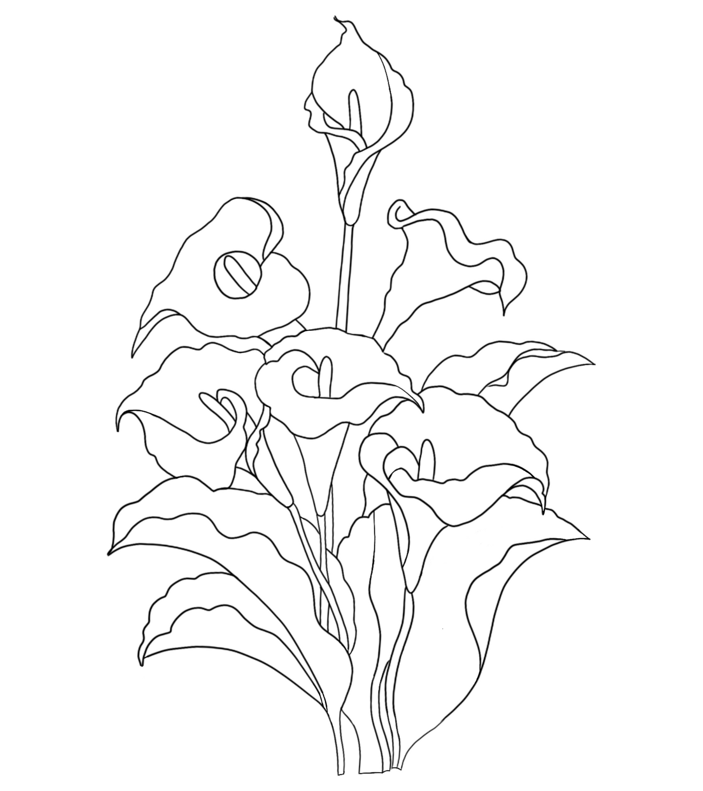Callas SVG