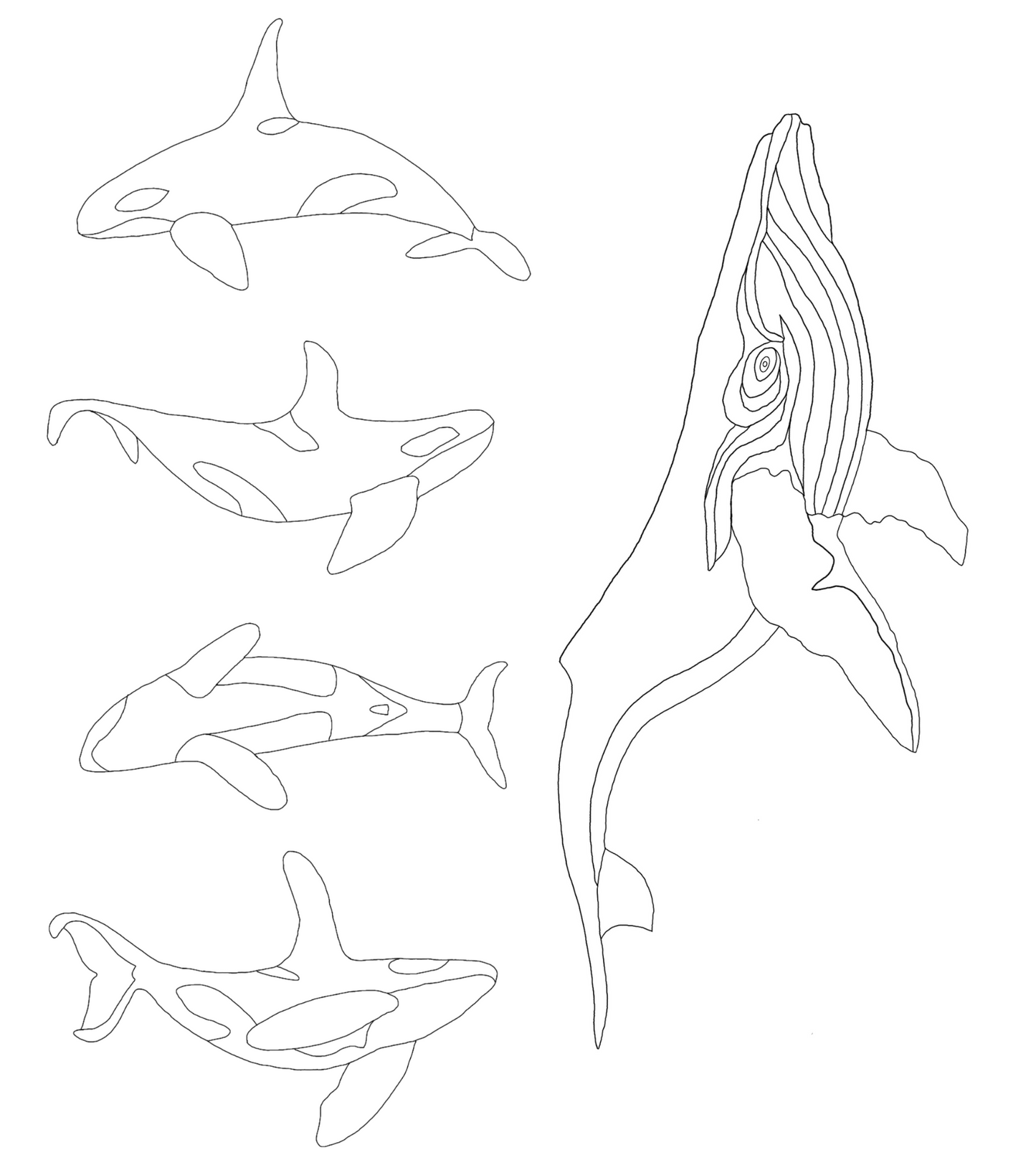 Whales SVG