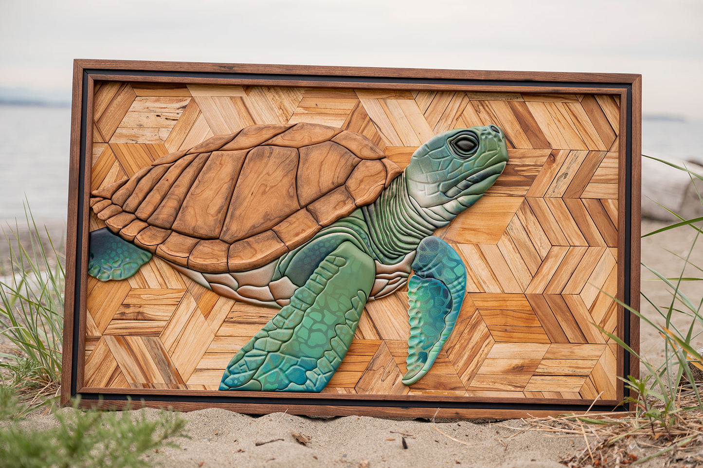 Coastline - Sea Turtle