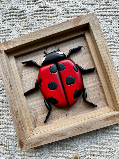 NATURA - Ladybug