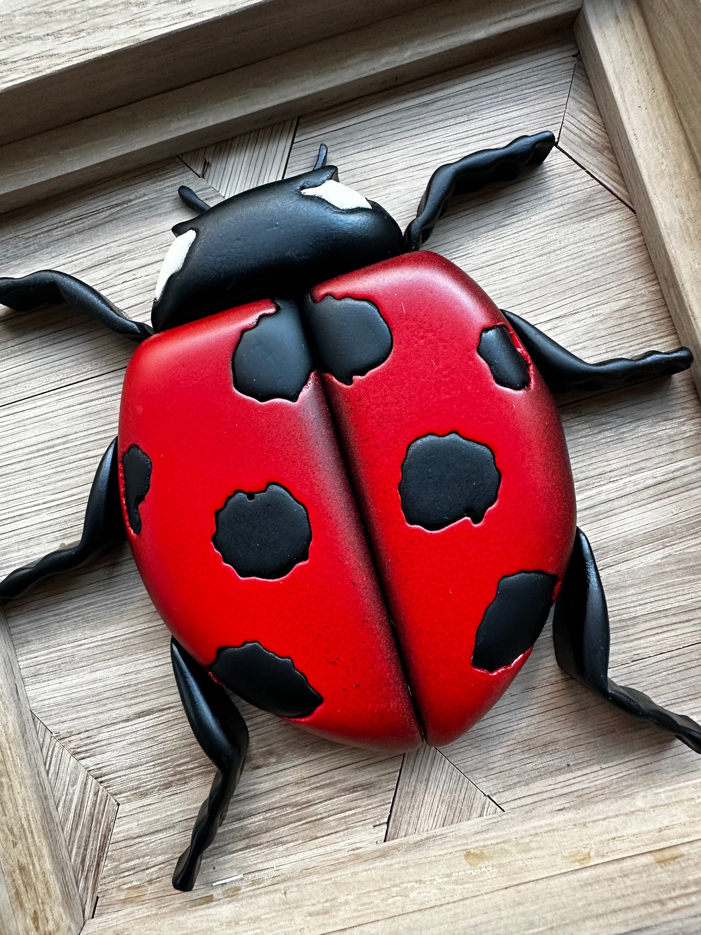 NATURA - Ladybug