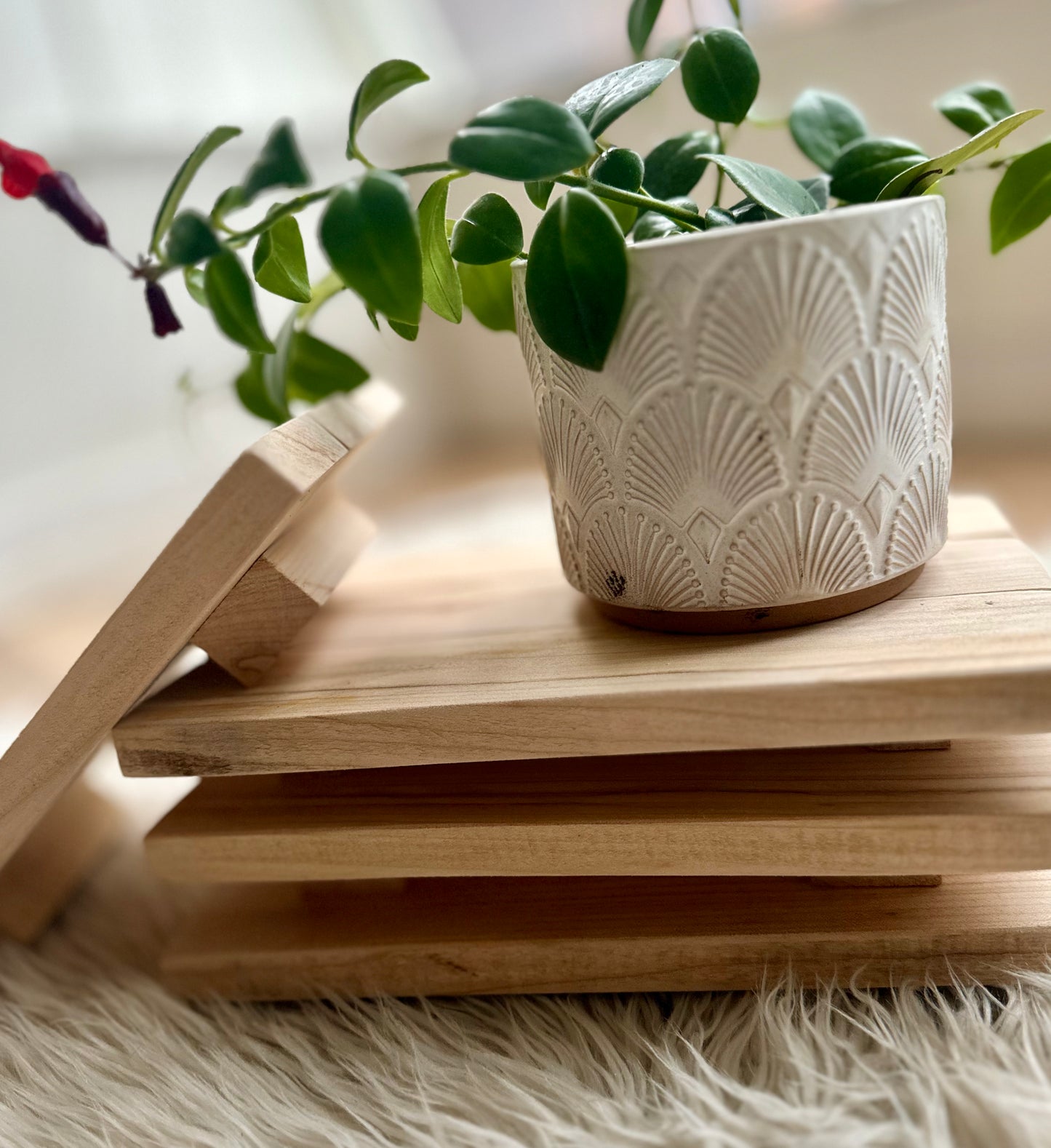 Wood Risers – Wild Wood Creative