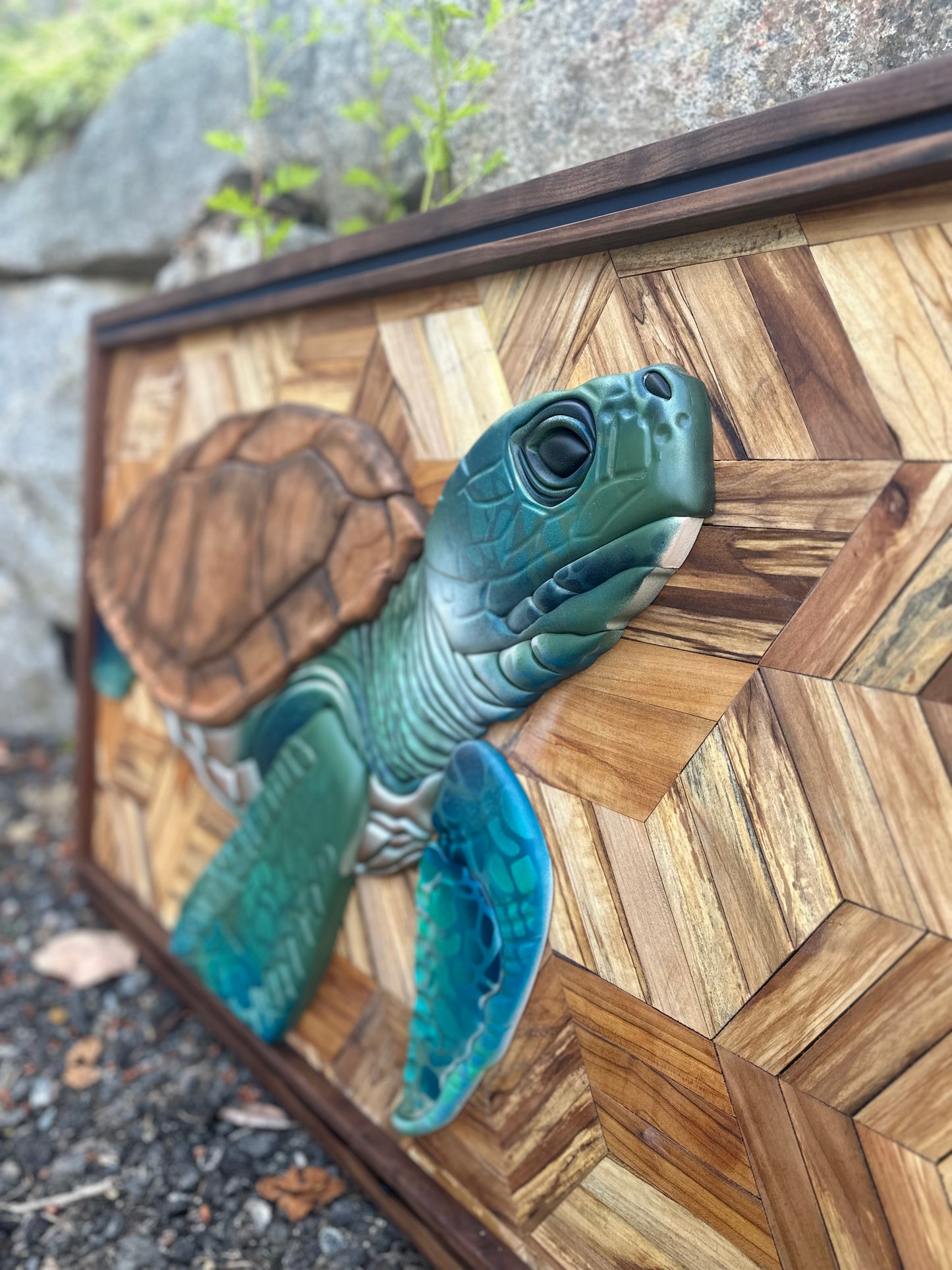 Coastline - Sea Turtle