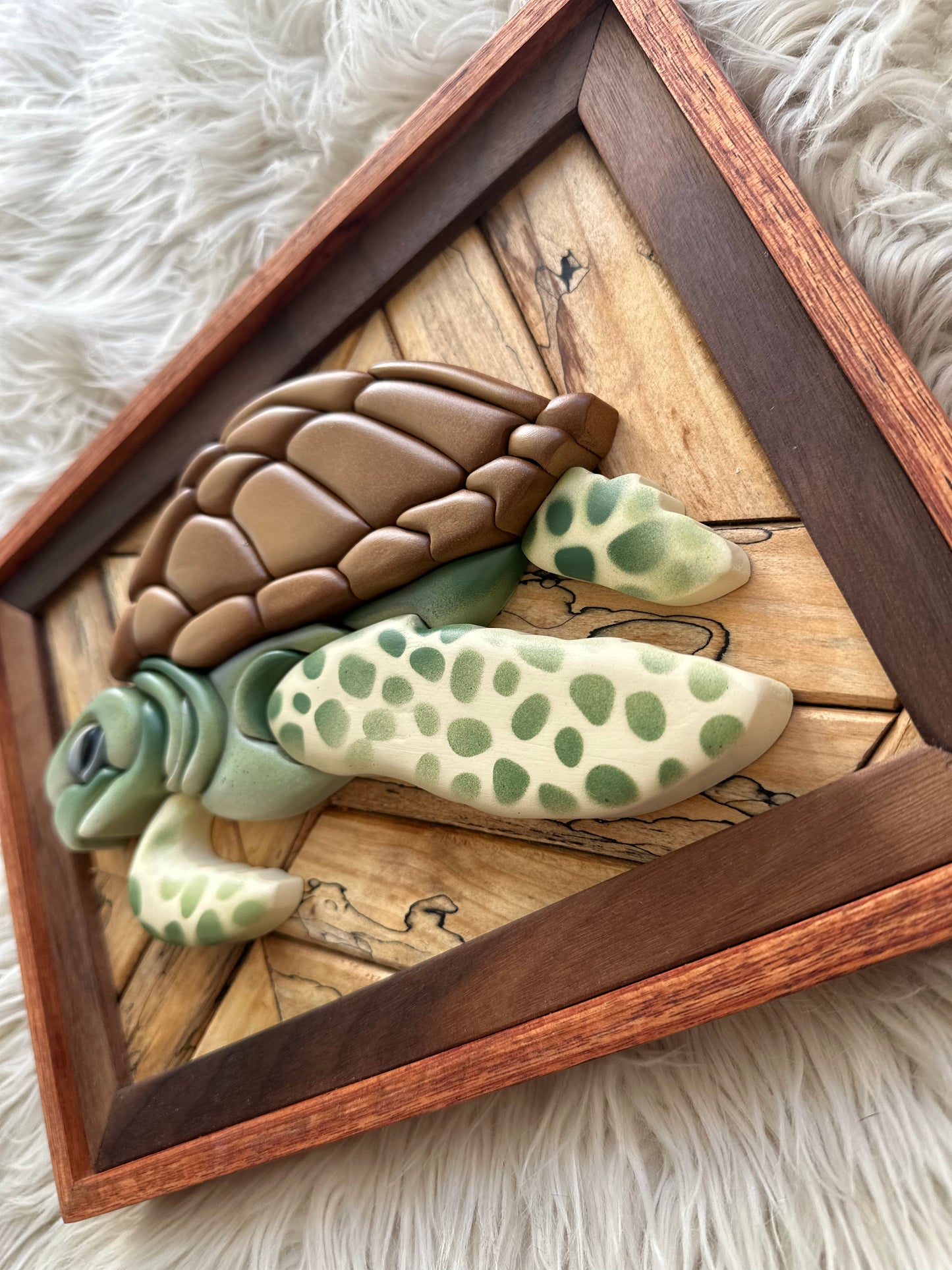 Coastline - Mini Sea Turtle