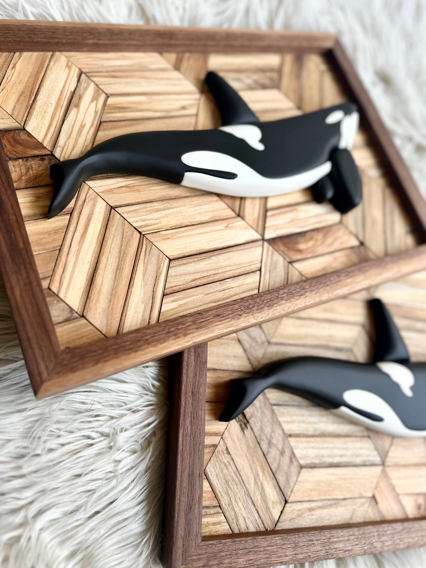 Mini Orca Pre-Order