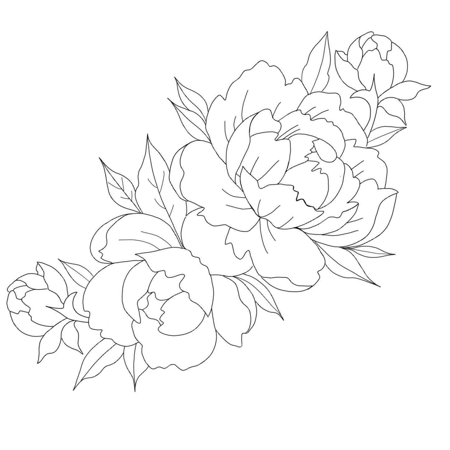 Peony Template