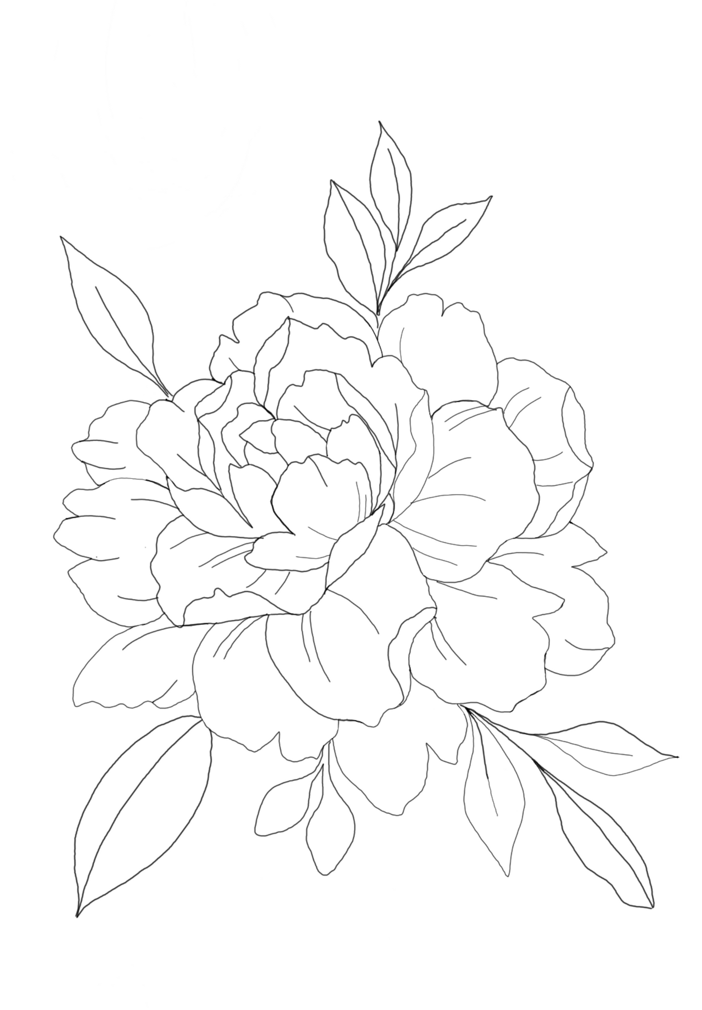 Single Peony Template