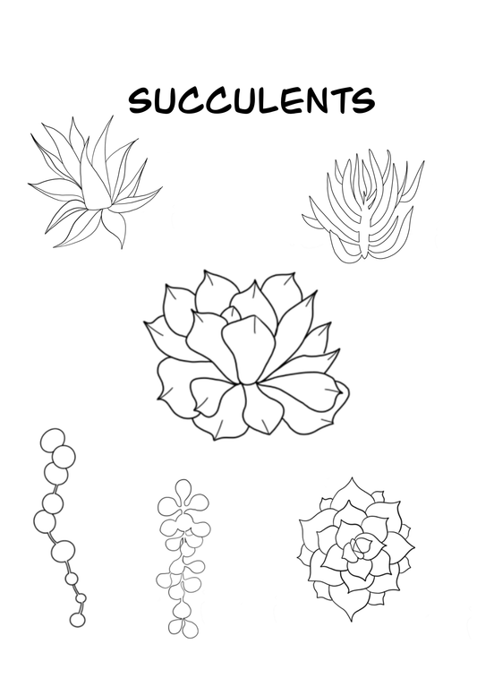 Succulent Brush Set