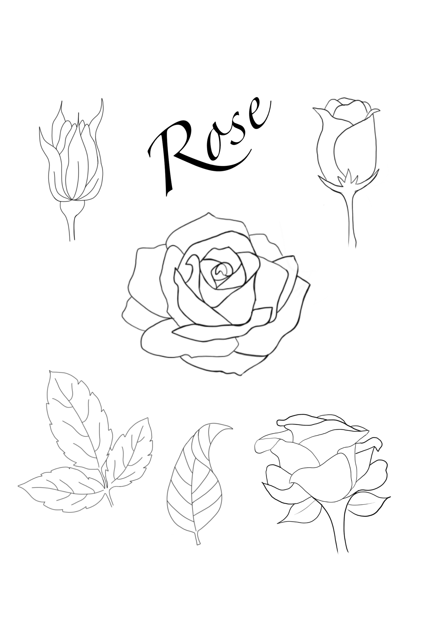 Rose Brush Set