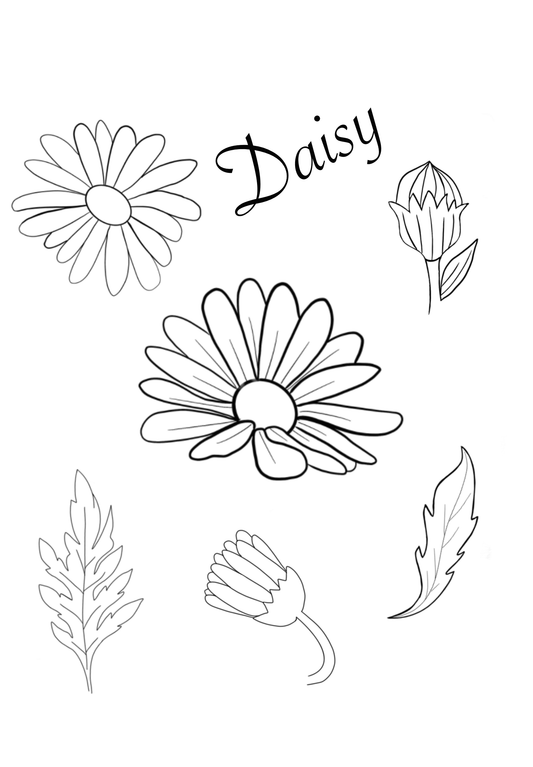 Daisy Brush Set