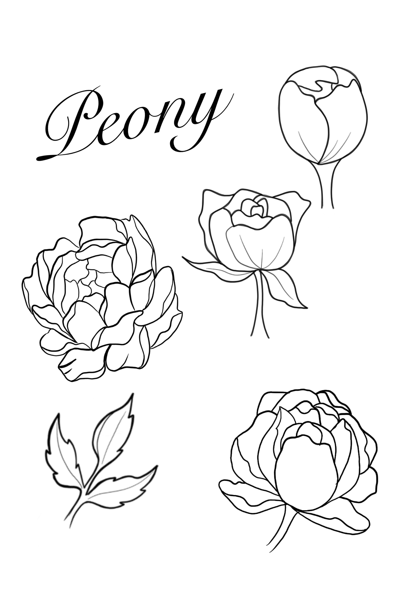 Peony Brushset