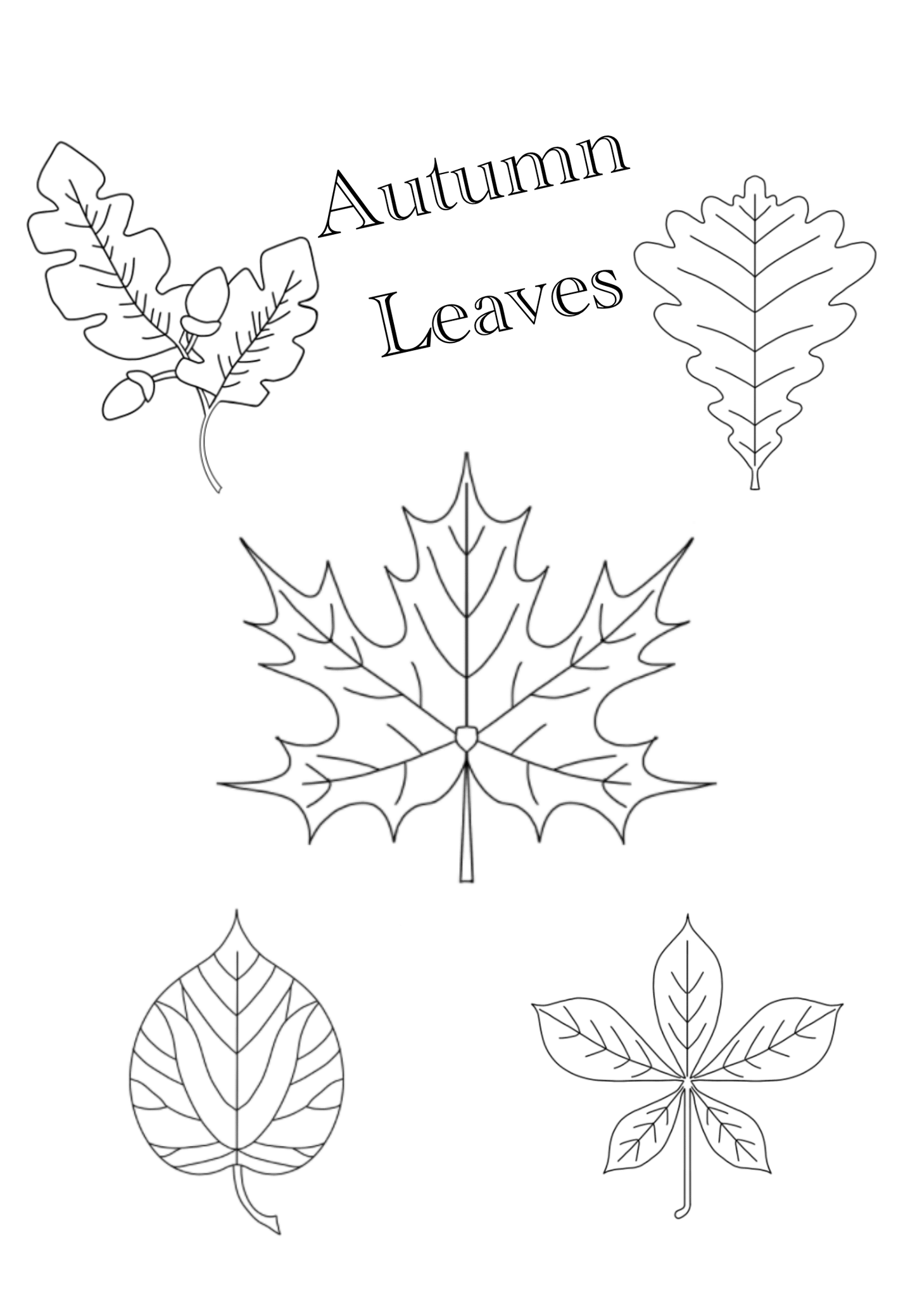 Autumn Leaves Brush Set