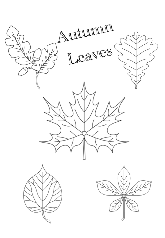 Autumn Leaves Brush Set