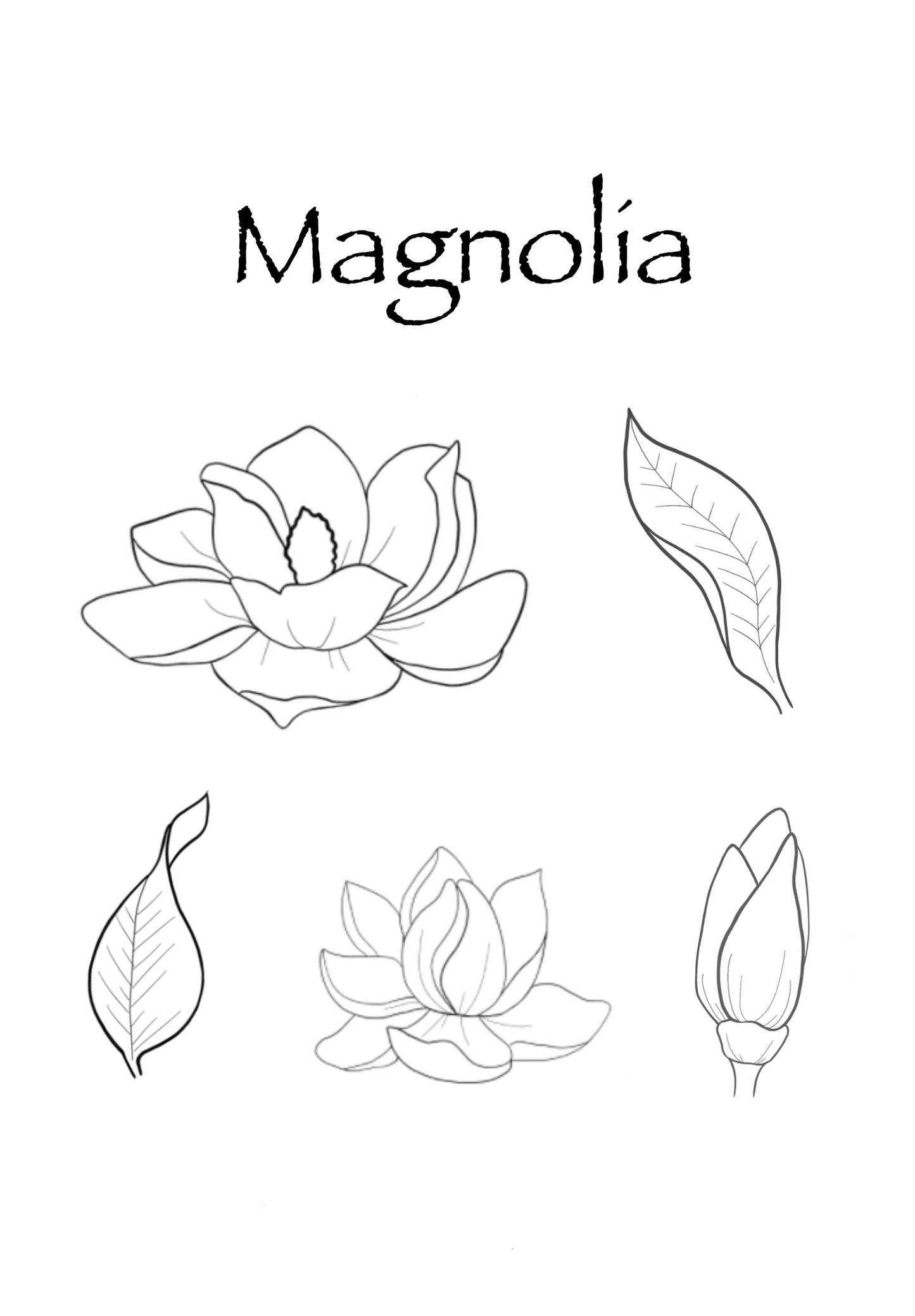 Magnolia Brush Set