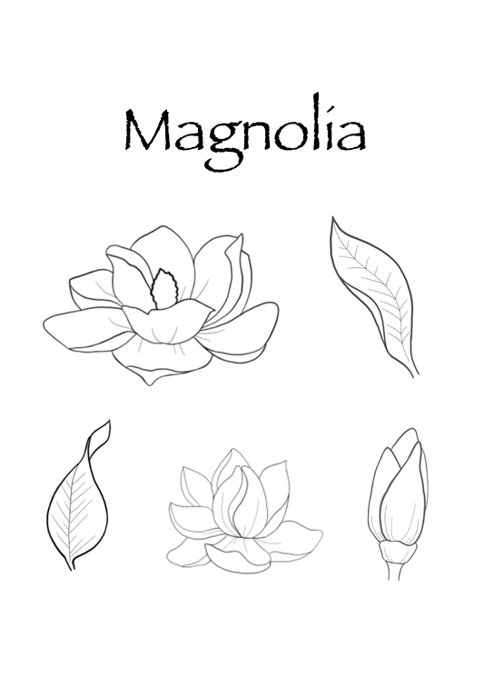 Magnolia Brush Set