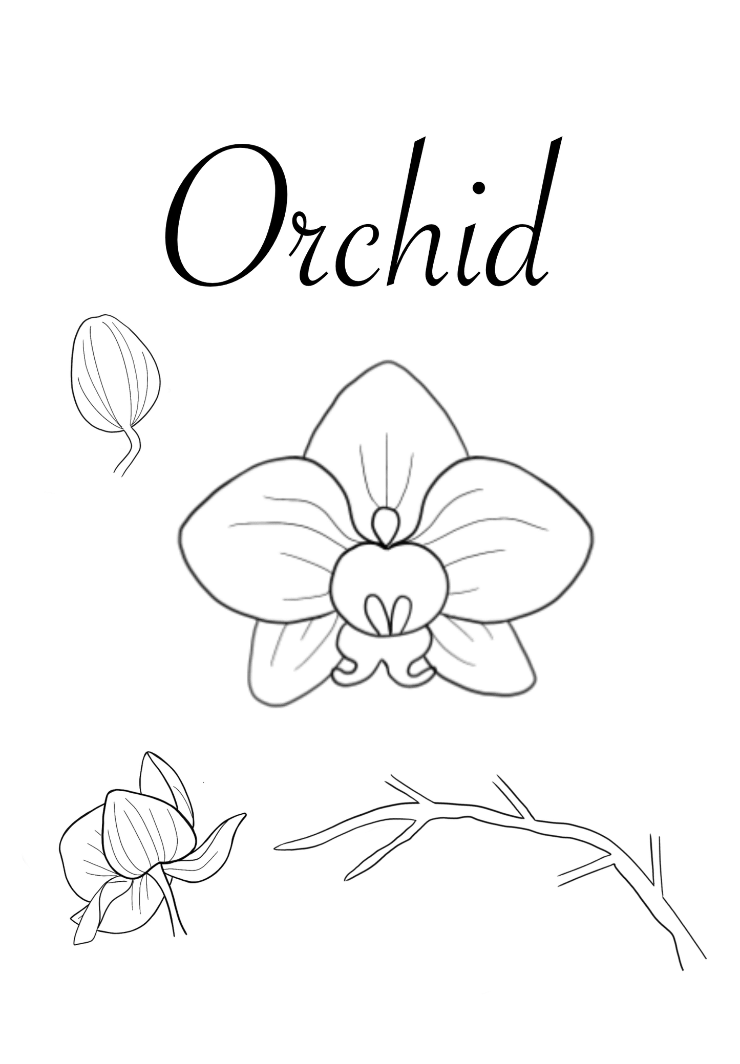 Orchid Brush Set