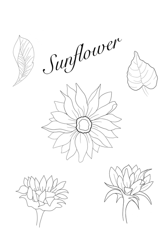 Sunflower Brush Set