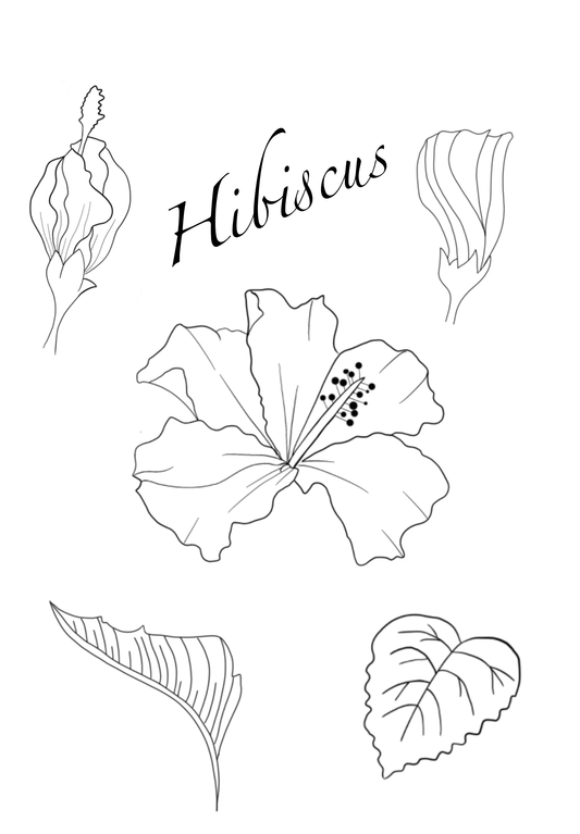 Hibiscus Brush Set